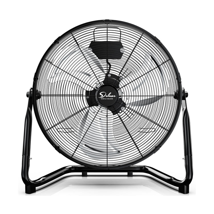 Fans